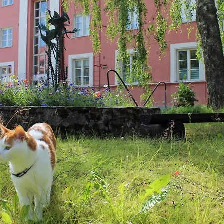 Vanha Koulu Penzion *