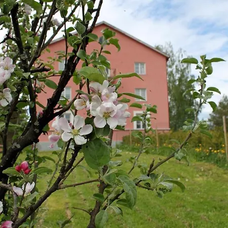 Mini-hôtel Vanha Koulu *