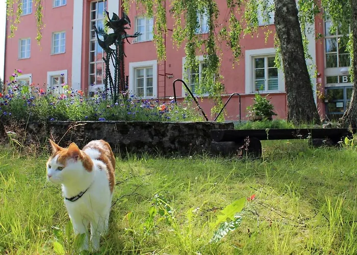 Vanha Koulu אורחן *